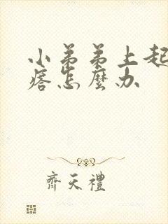 小弟弟上起红疙瘩怎么办封面