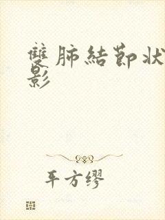 双肺结节状致密影