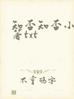 知否知否小说原著txt