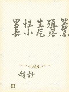 男性生殖器下边长小疙瘩怎么回事