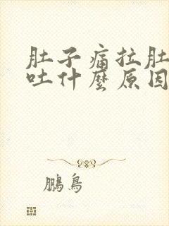 肚子痛拉肚子呕吐什么原因引起的