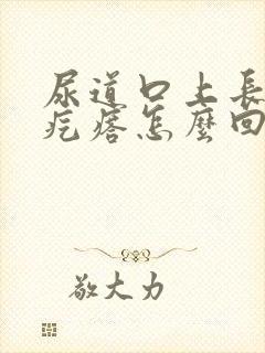 尿道口上长个小疙瘩怎么回事