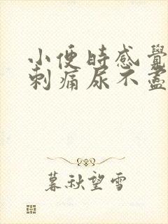 小便时感觉尿道刺痛尿不尽封面