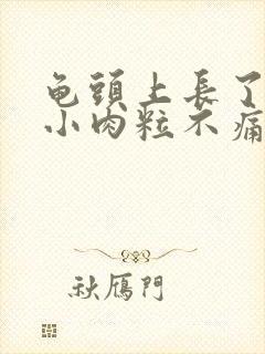 龟头上长了很多小肉粒不痛不痒