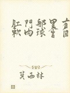 肛门那里有个小软肉球会自己消失吗封面