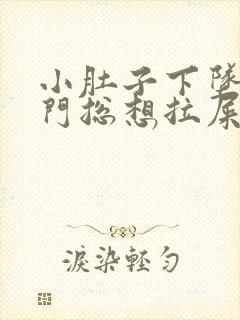 小肚子下坠疼肛门总想拉屎拉不出来