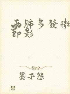 两肺多发微小结节影