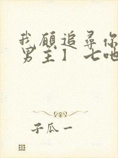 我愿追寻你【双男主】 七吔封面