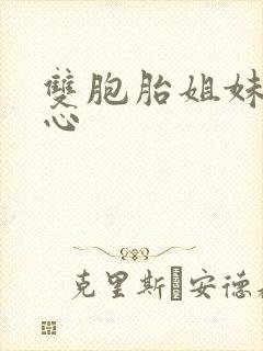 双胞胎姐妹的用心