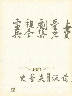 电视剧爱上特种兵全集免费观看