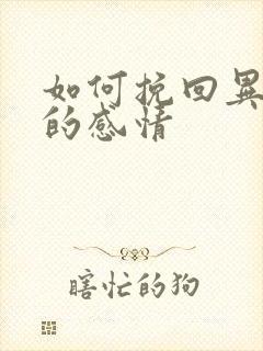 如何挽回异地恋的感情