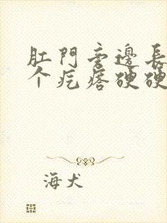 肛门旁边长了一个疙瘩硬硬的疼