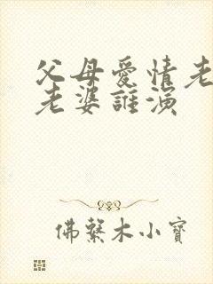 父母爱情老丁的老婆谁演