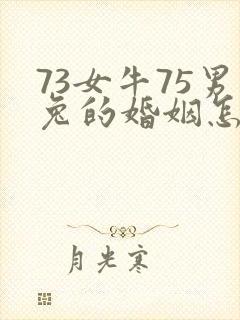 73女牛75男兔的婚姻怎么样