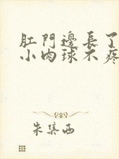 肛门边长了一个小肉球不疼