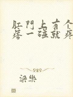 肛门上有个硬疙瘩一碰就疼