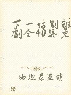 下一站别离电视剧全40集免费观看