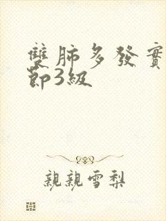 双肺多发实性结节3级