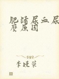 肥猪尿血尿是什么原因