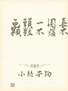 龟头一圈长了小颗粒不痛不痒