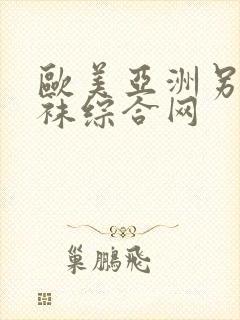 欧美亚洲另类丝袜综合网