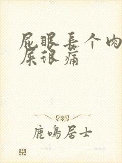 屁眼长个肉球拉屎很痛封面