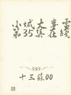 小城大事电视剧第35集在线观看