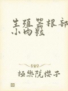 生殖器根部起了小肉粒