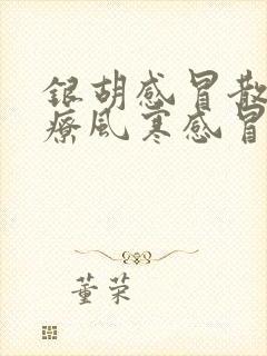 银胡感冒散是治疗风寒感冒还是风热感冒