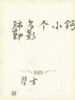 肺多个小钙化结节影