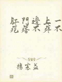 肛门边上一个硬疙瘩不疼不痒封面