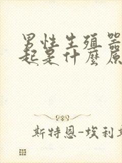 男性生殖器硬不起是什么原因封面