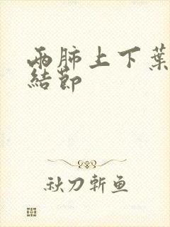 两肺上下叶散在结节