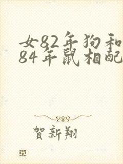 女82年狗和男84年鼠相配婚姻如何