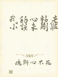 我的心动老板娘小说未删版下载txt封面