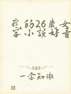 我的26岁女房客小说好看吗