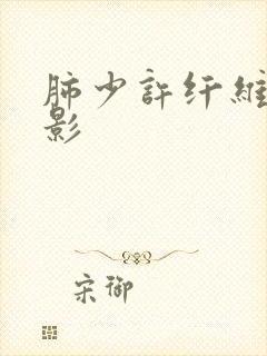 肺少许纤维条索影