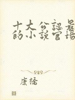 十大公认最好看的小说官场封面