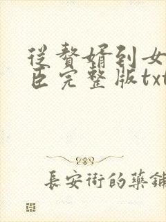 从赘婿到女帝宠臣完整版txt封面