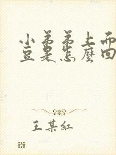 小弟弟上面长豆豆是怎么回事