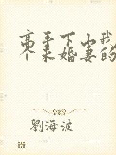 高手下山我有九个未婚妻的小说