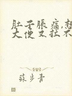 肚子胀痛,想拉大便又拉不出来是什么原因