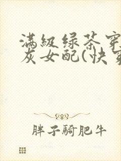 满级绿茶穿成炮灰女配(快穿高h