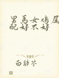 男马女鸡属相婚配好不好