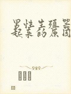 男性生殖器硬不起来的原因封面