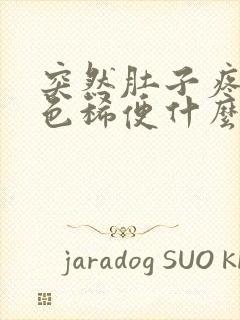 突然肚子疼拉黑色稀便什么原因封面