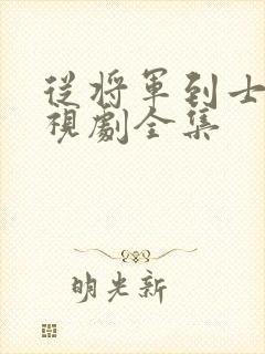 从将军到士兵电视剧全集