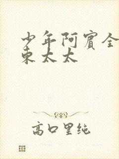 少年阿宾全文房东太太封面