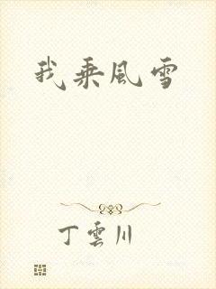 我乘风雪