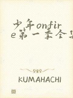 少年onfire第一季全集完整版